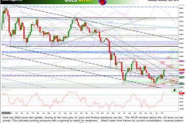 goldW18feb2014